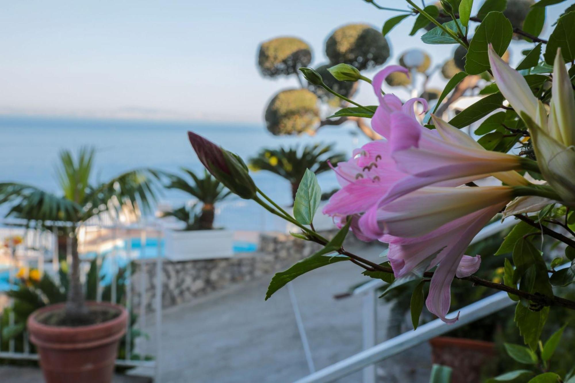 Hotel Villa Lubrense Sorrento Massa Lubrense Dış mekan fotoğraf
